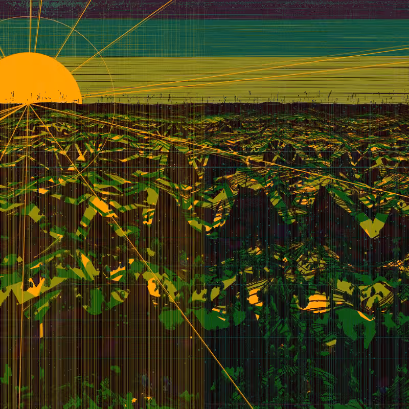 The Valley #22