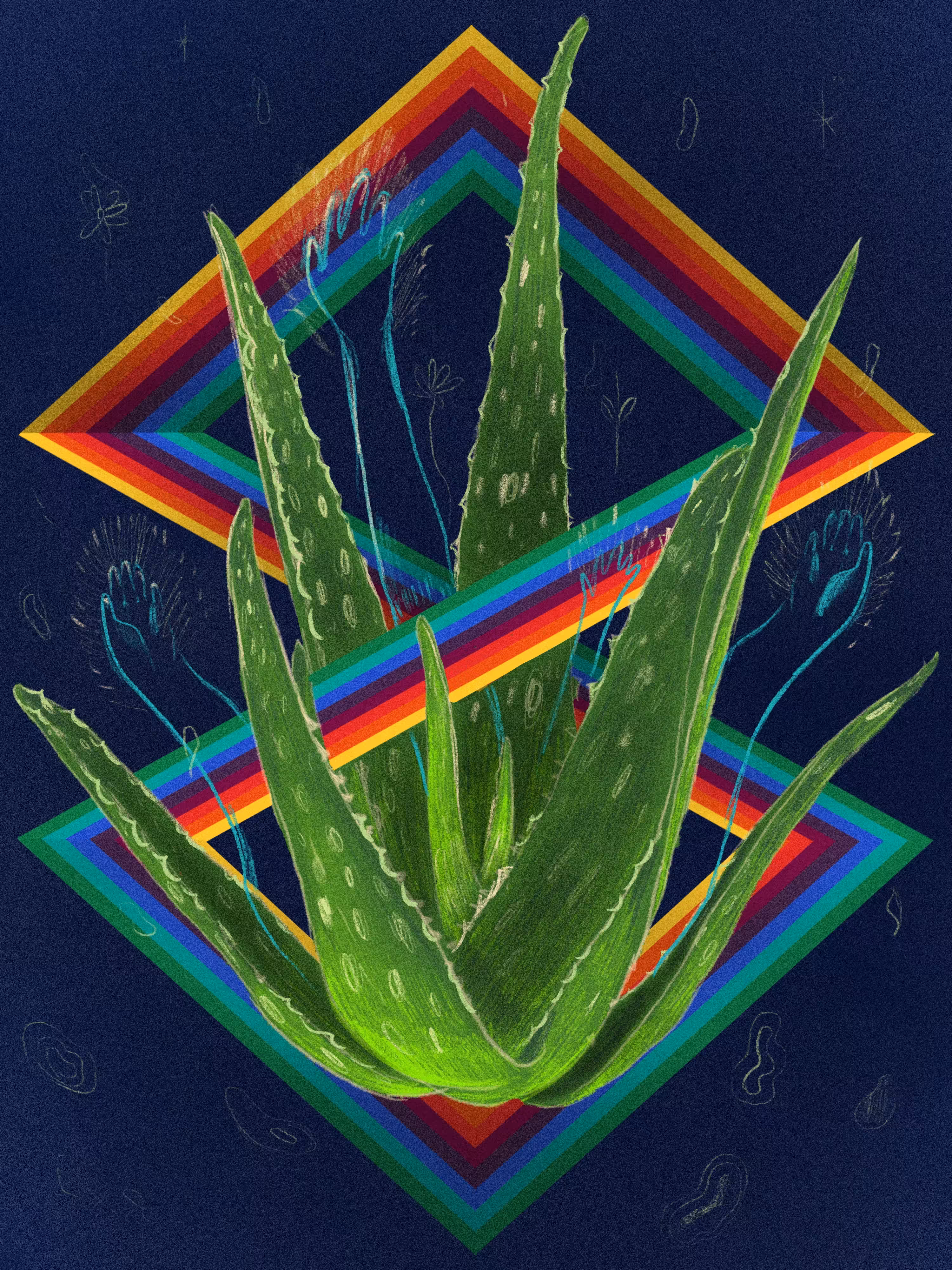 Aloe vera