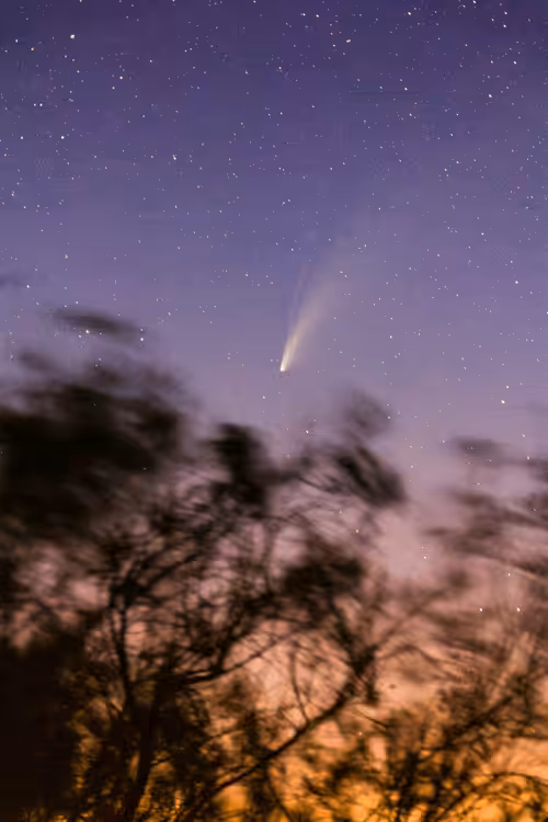 Neowise #2
