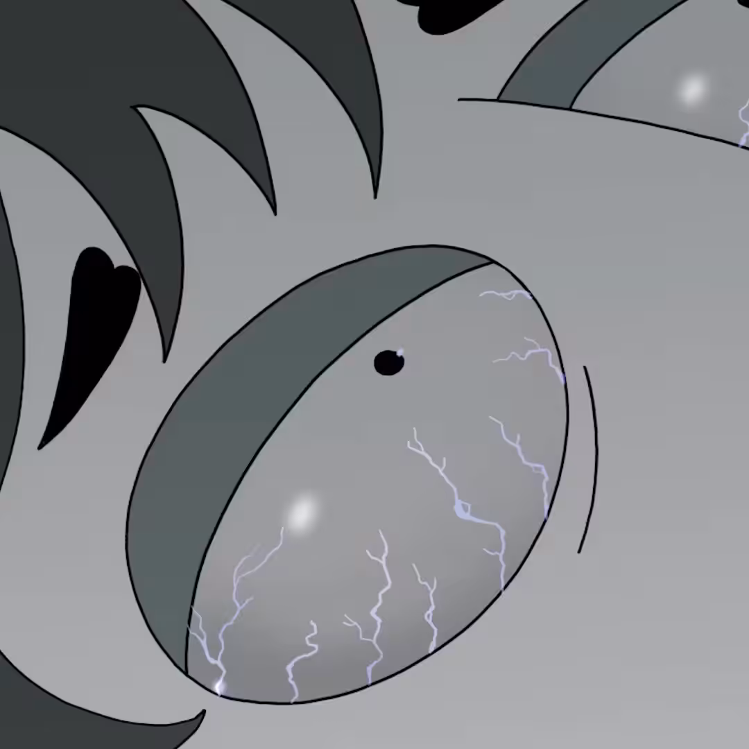THUNDER IN YOUR EYES