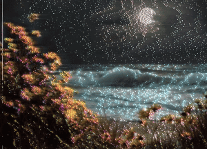 _DATALESS_: along_the_shore