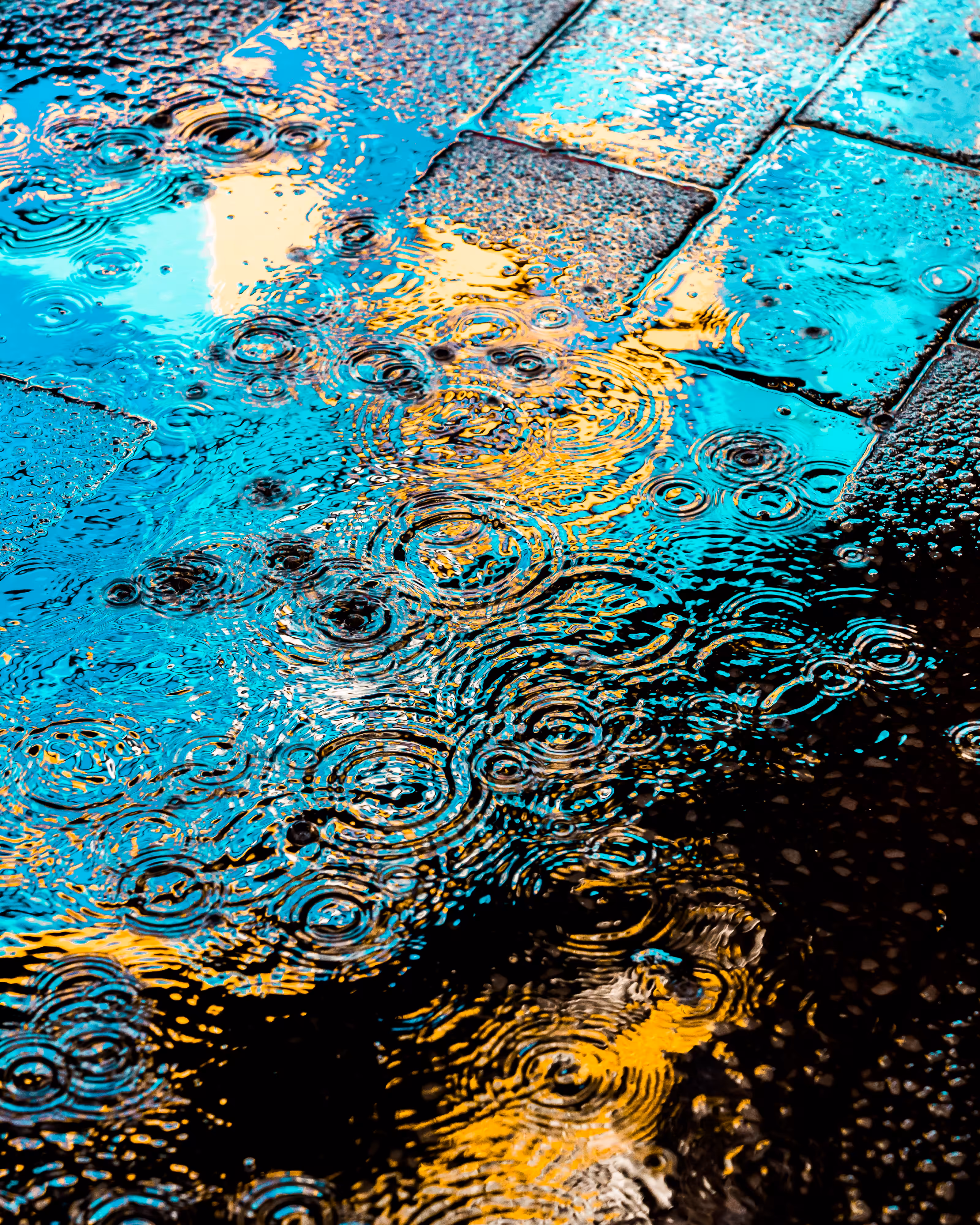 DRIP DROP: DRIP #29