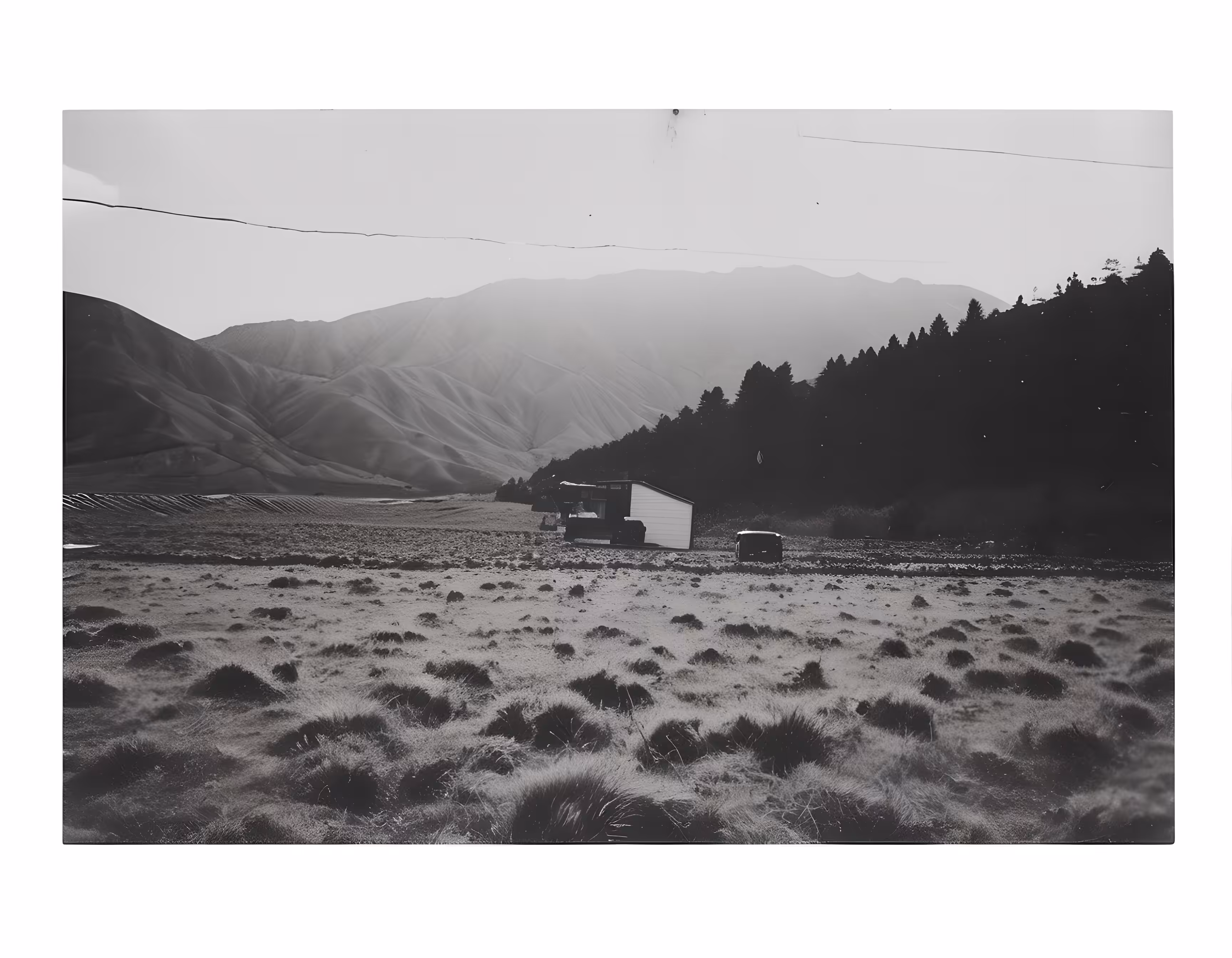 SYNTHETIC PHOTOGRAPHY RAW #40