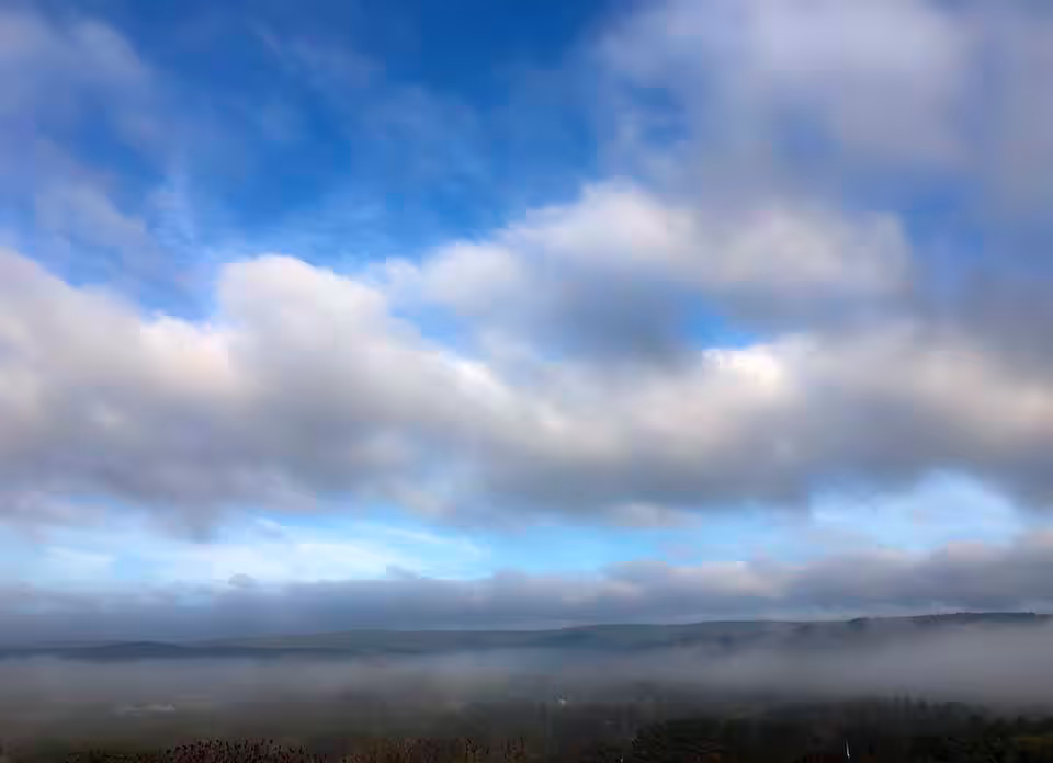 Autumn Day #1 