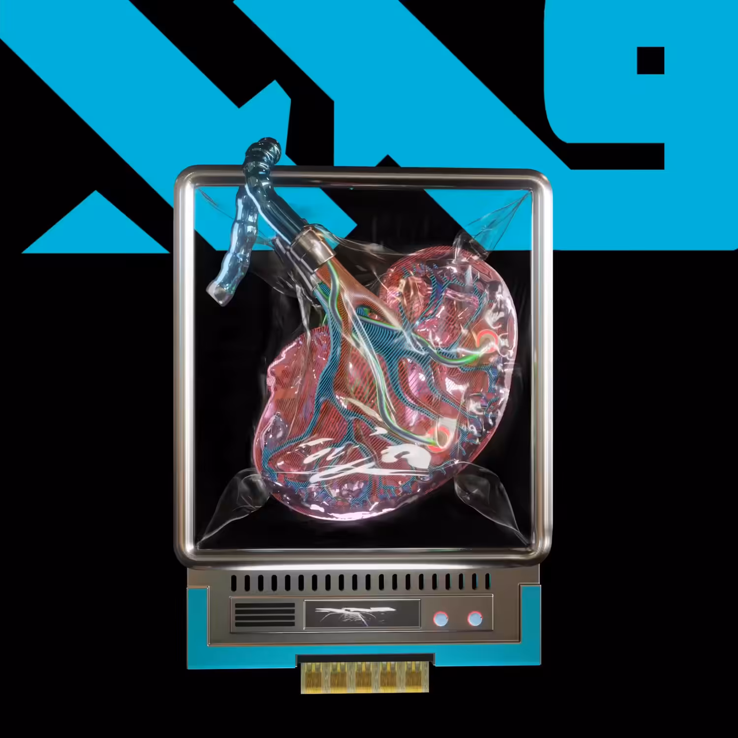 New Kidney 