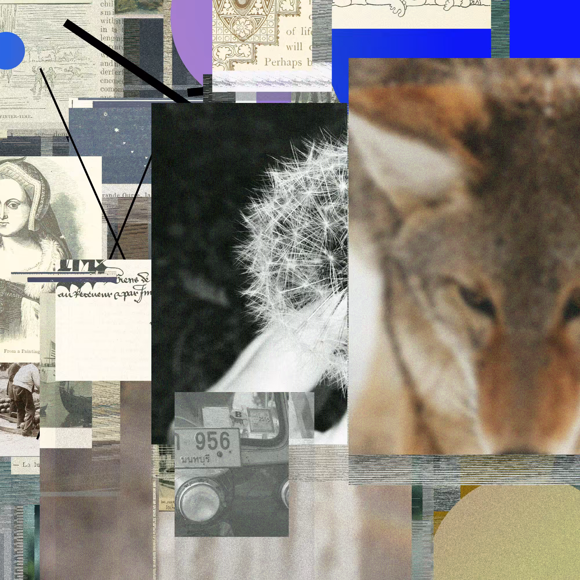 Unconscious Collages #342