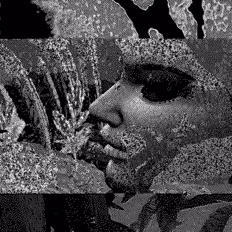Whipped Dream #60