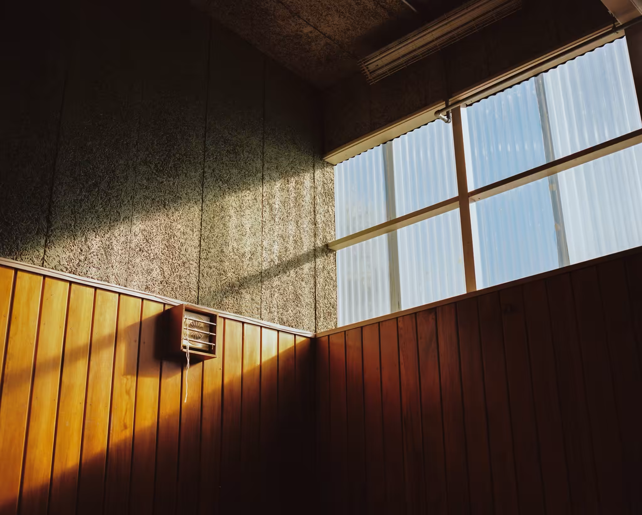 Afternoon Glow