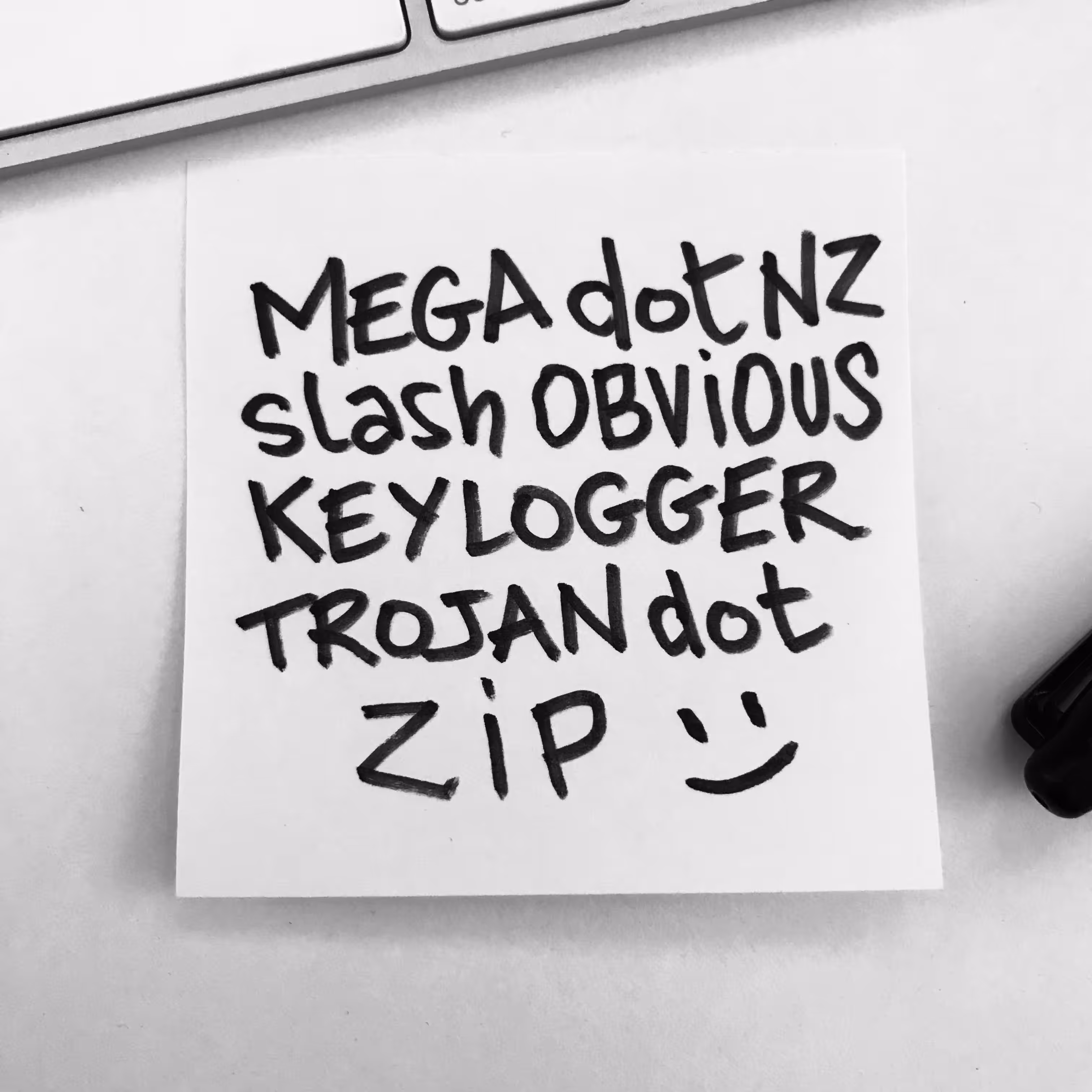 MEGA dot NZ slash OBVIOUS KEYLOGGER TROJAN dot ZIP
