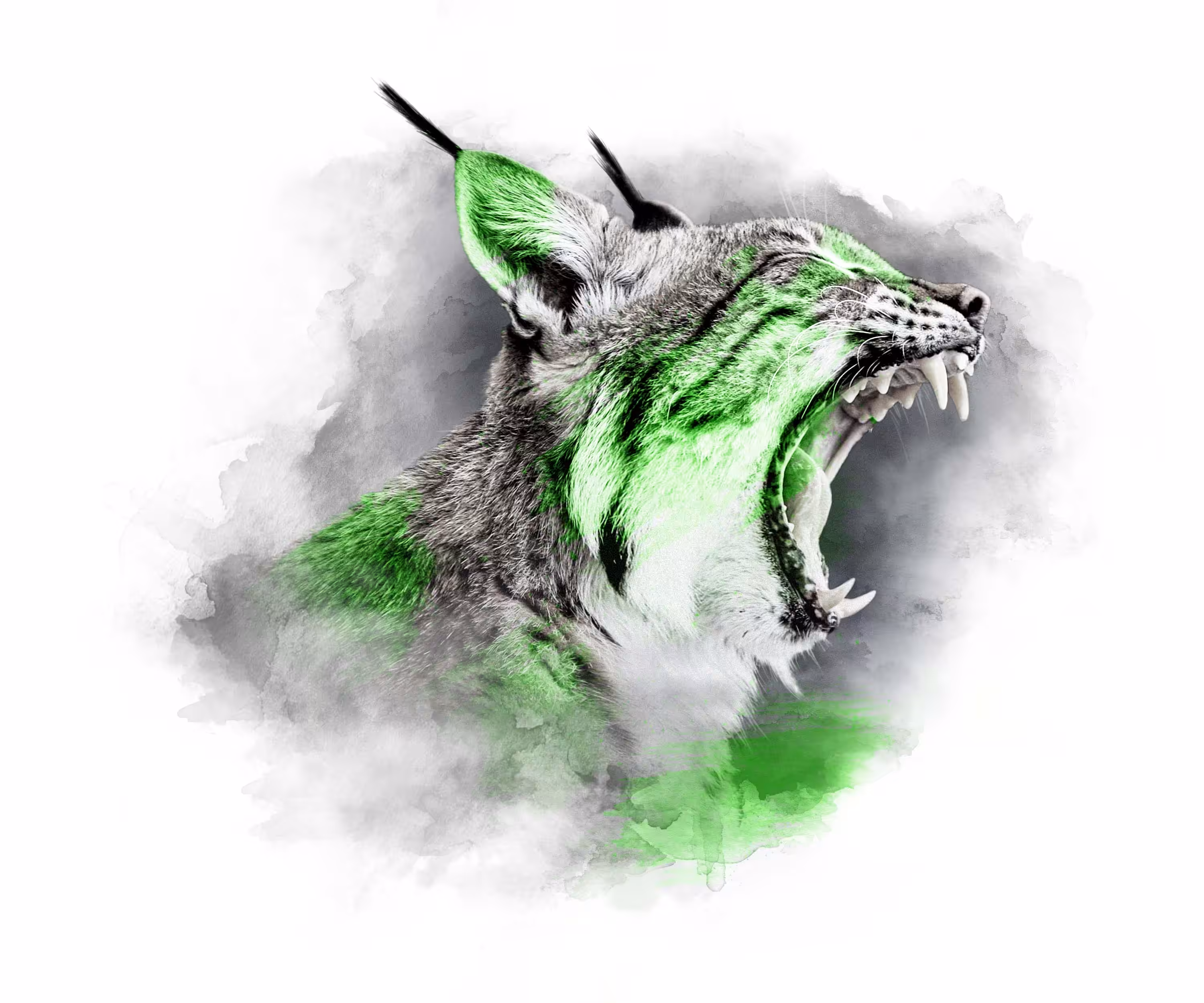 The Animal Kingdom Collection: LIME SERIES - LYNX