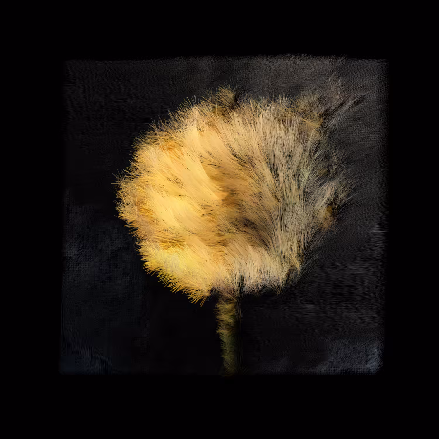 Certificate for: Dandelion (b63n,m,14000-20,5,28,17,46,55,2-20,11,16,17,13,24-c)