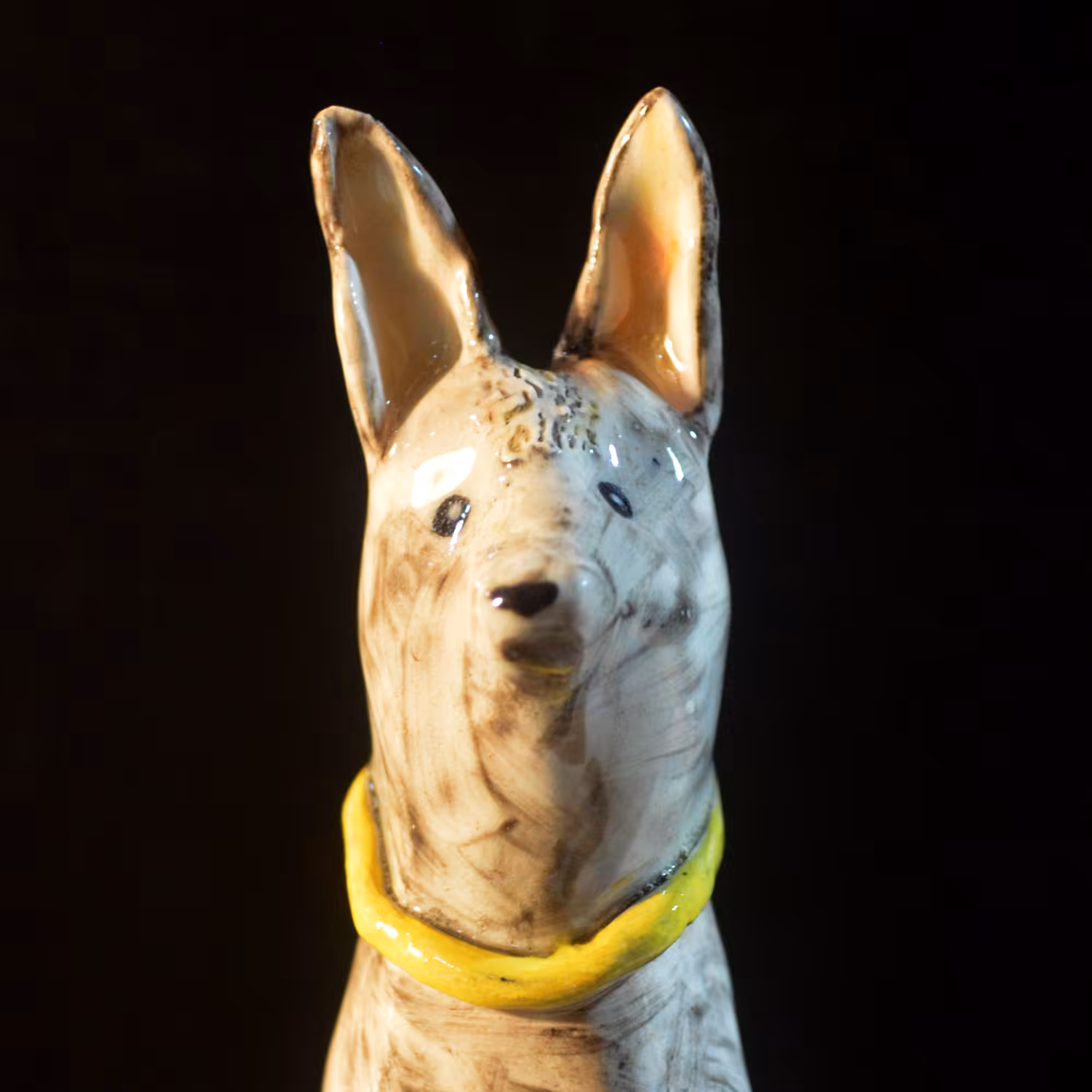 pfpup#0047