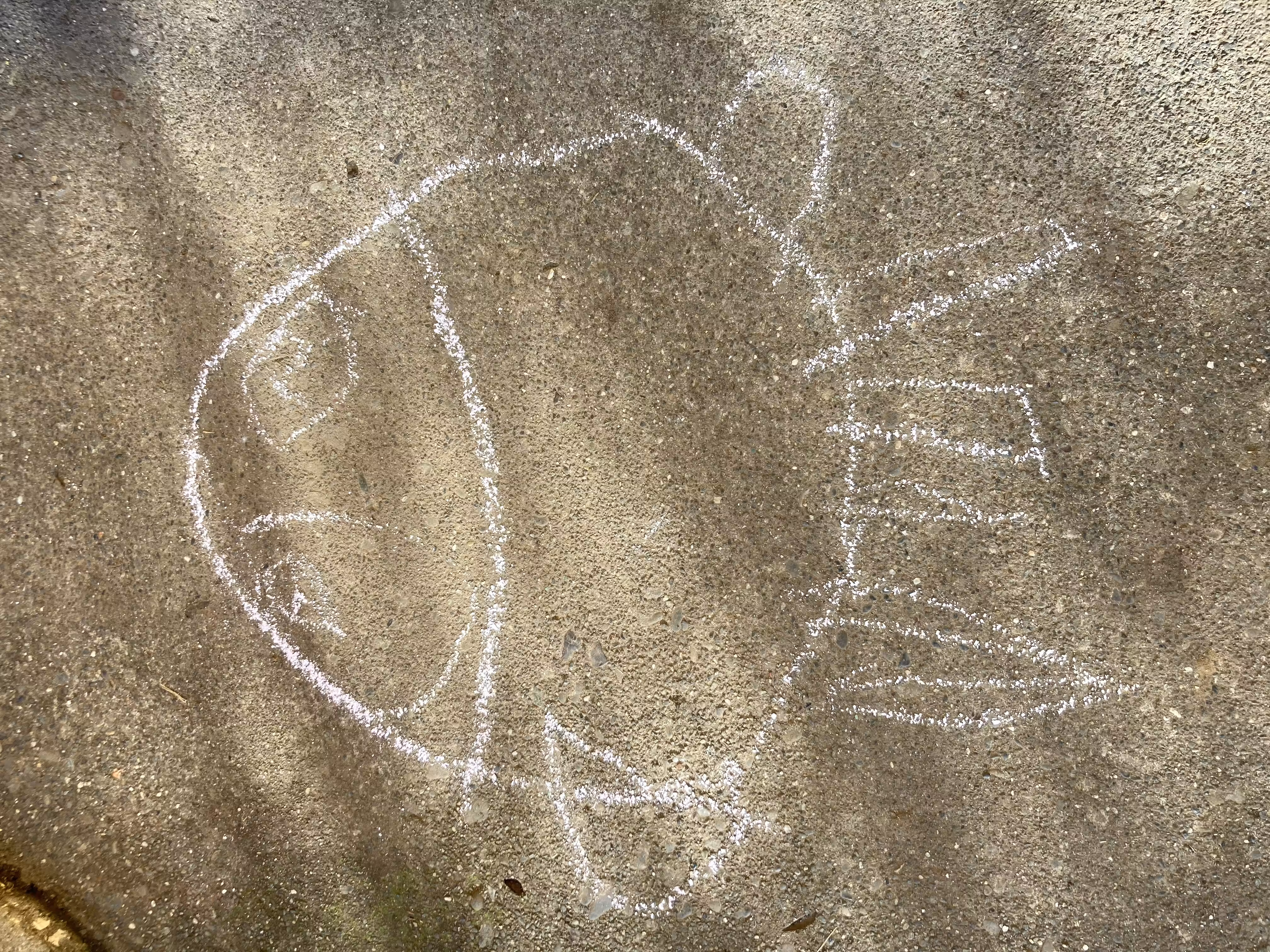 Pinchy Crab