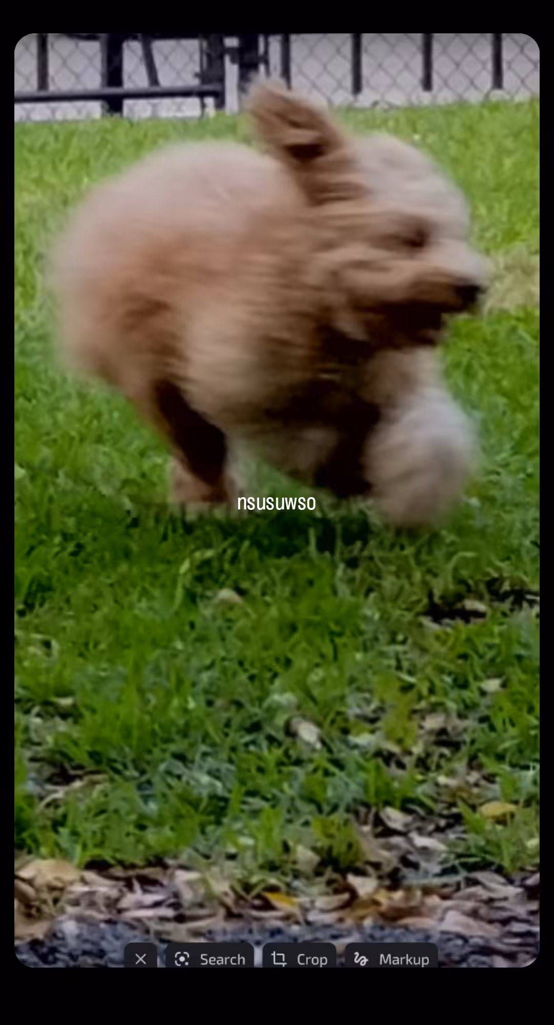 nsusuwso