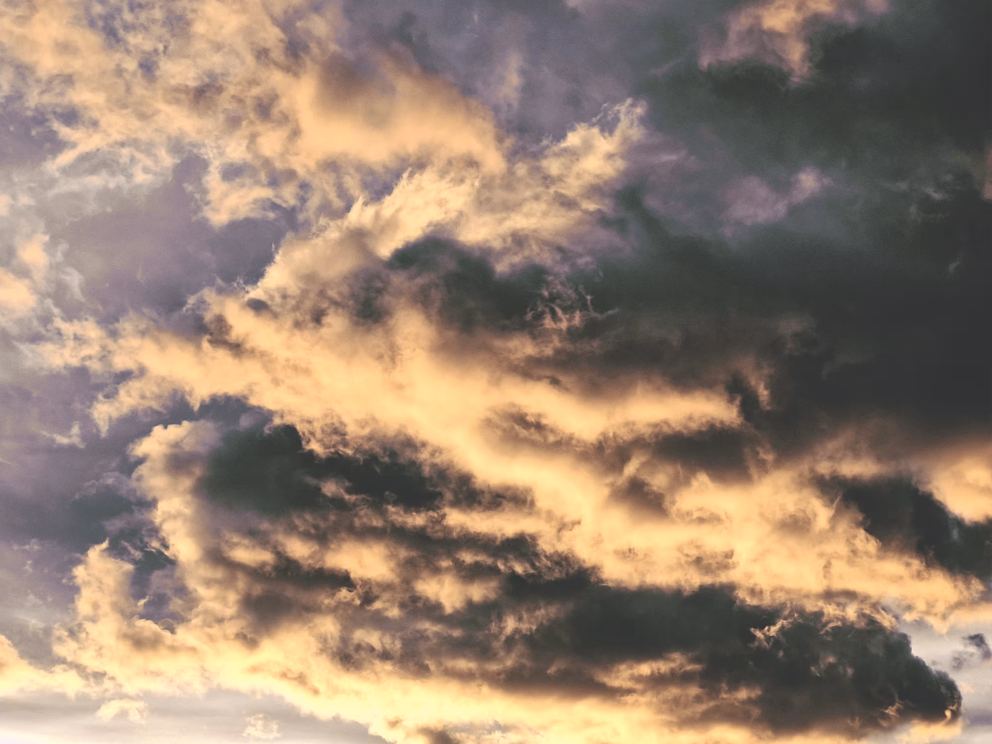 Captured Perspectives: In the Sky