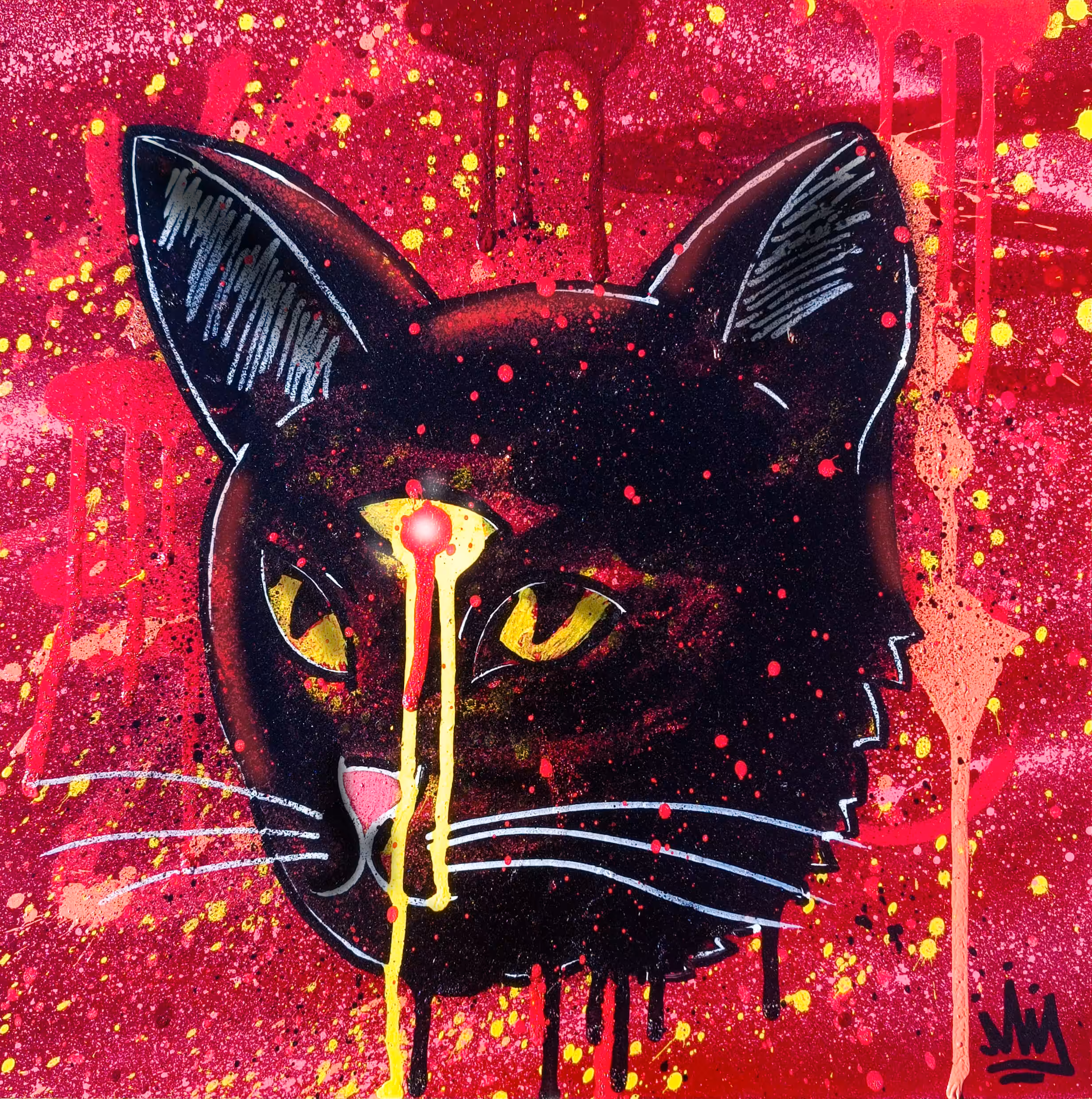 Black Cat