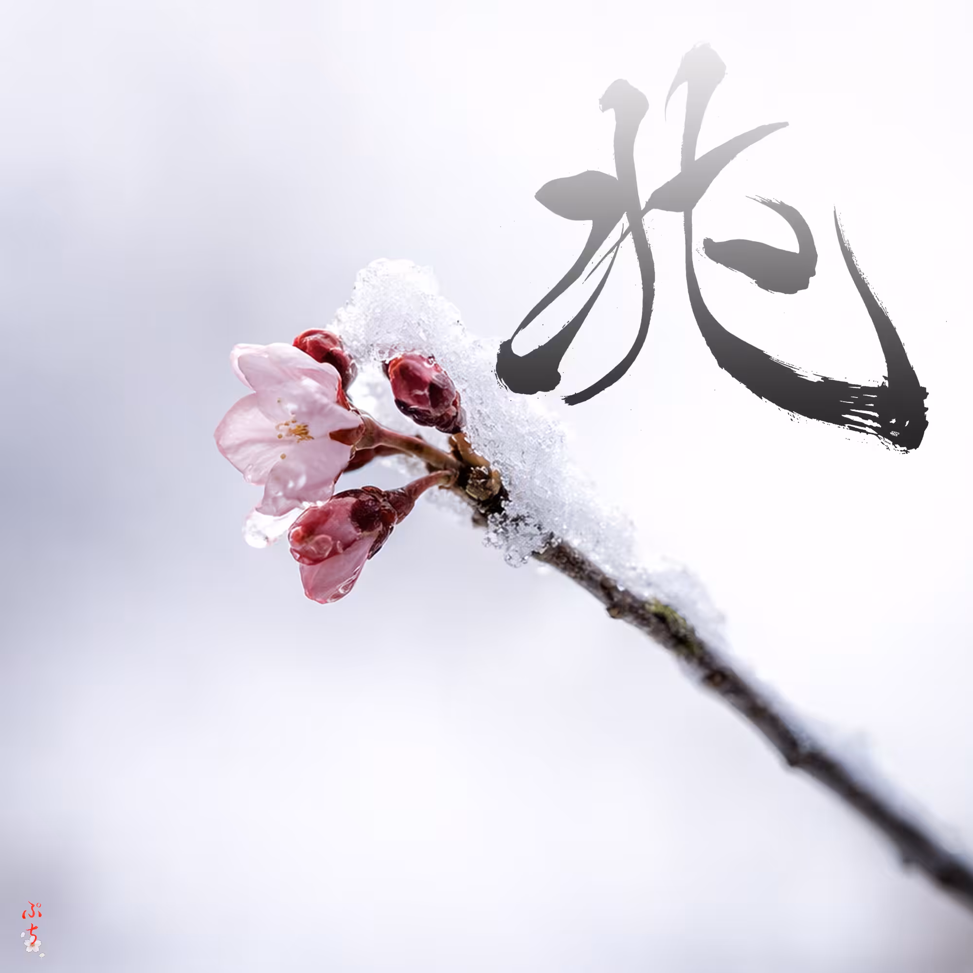 兆～kizashi