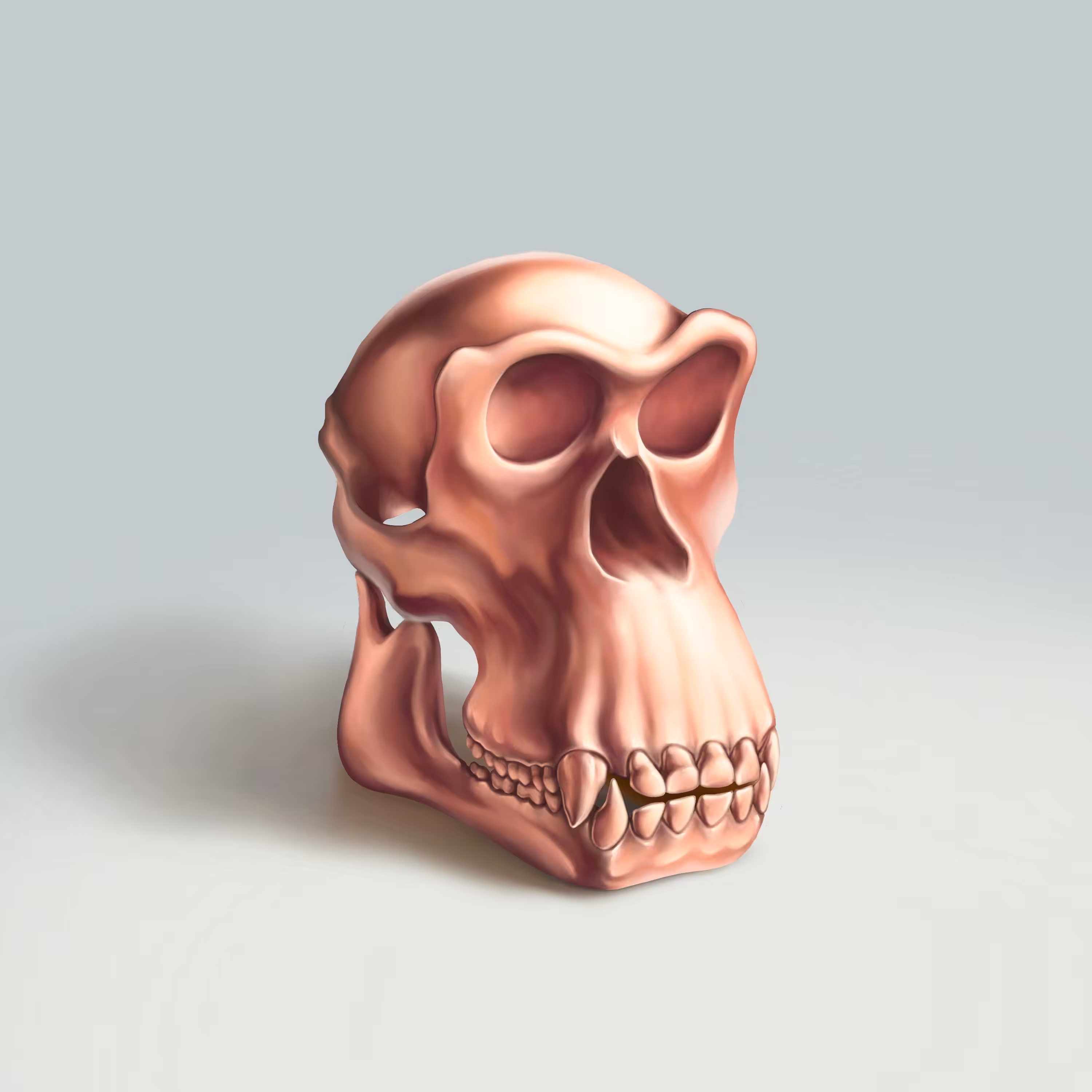 Copper 1/3