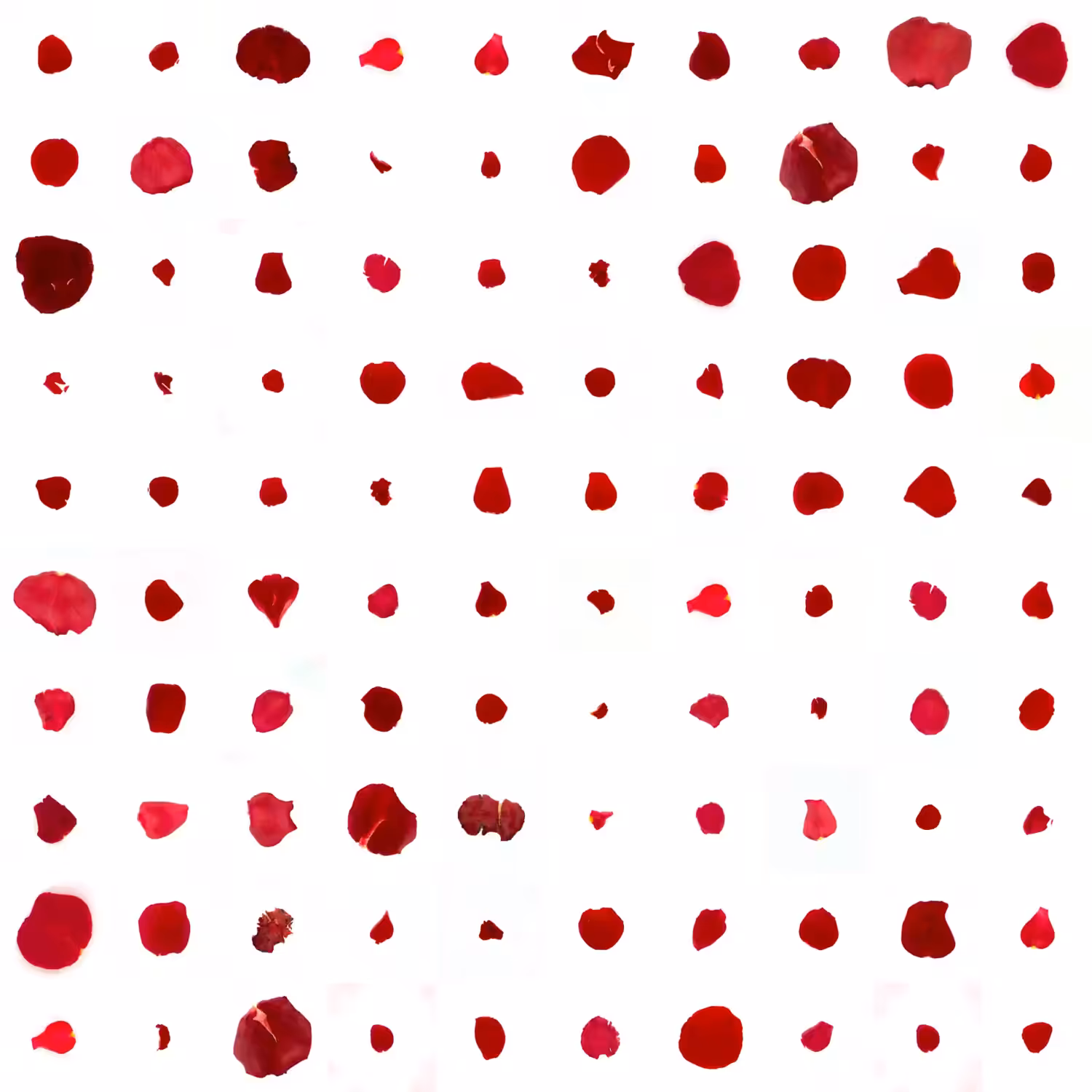 Infinite Petals 10x10#10078