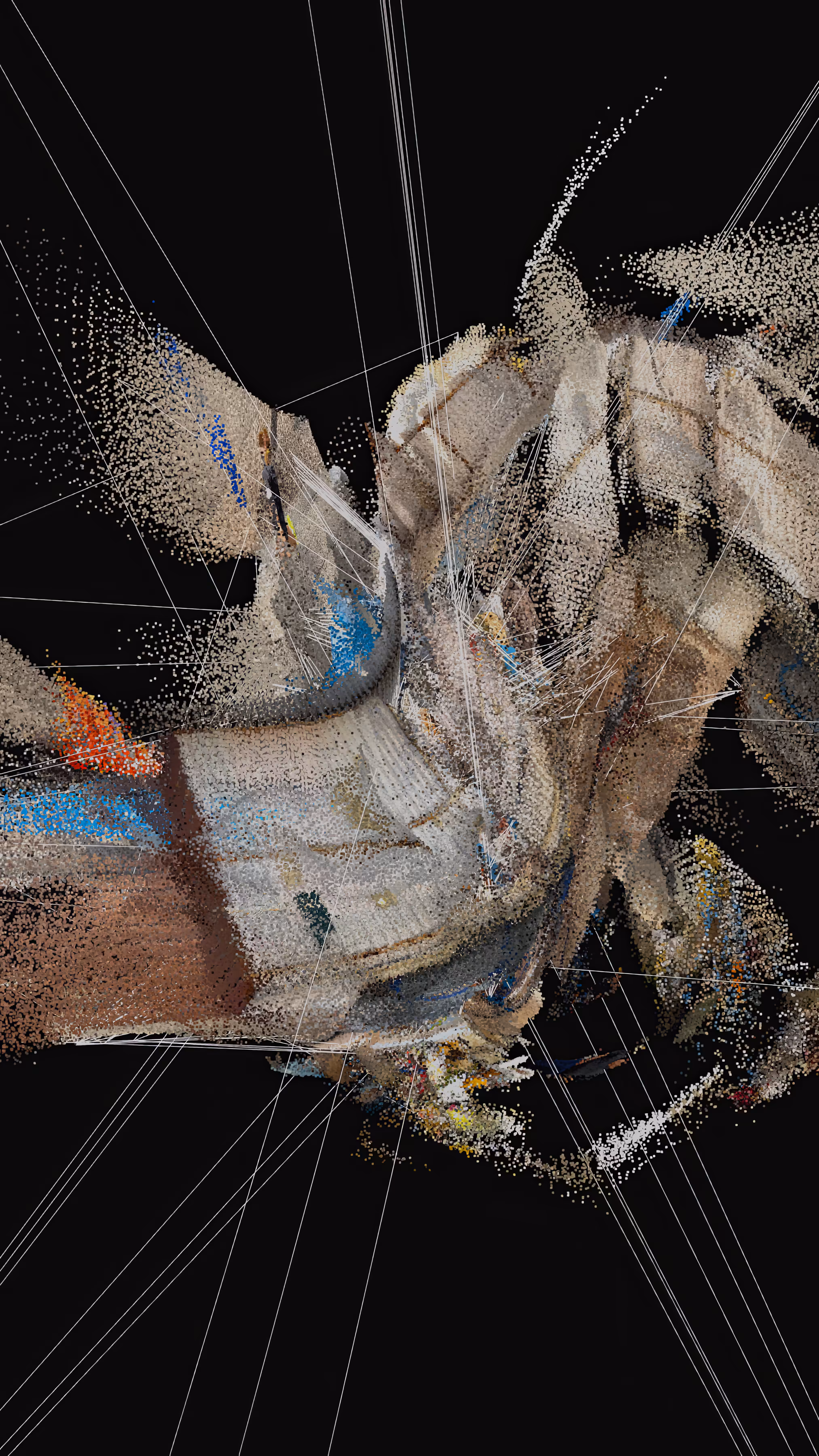 Spectrum of Perception #1