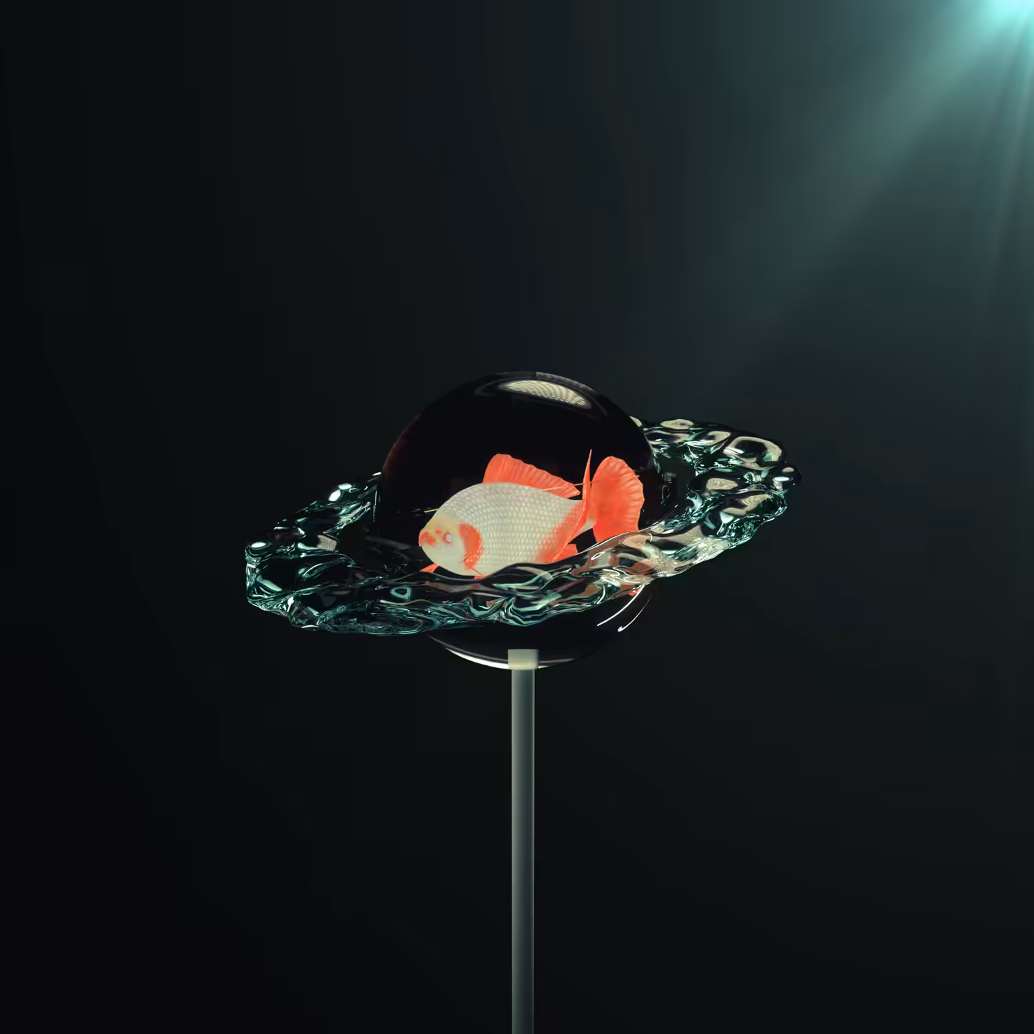 LOLLIPOP X FISH
