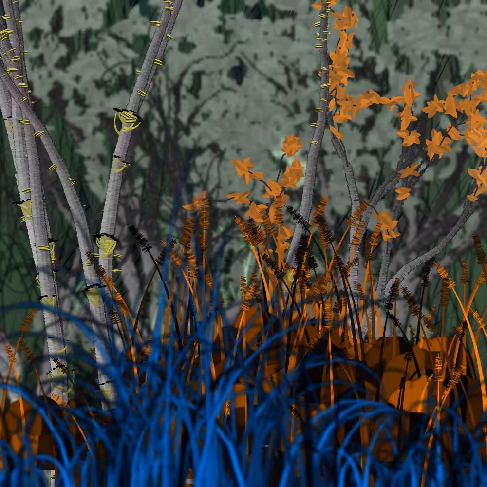 Nature's Vanity: Slideshow #1