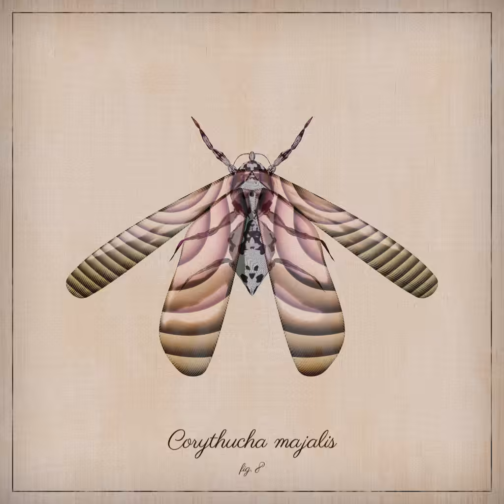 ProcGen Entomology #307
