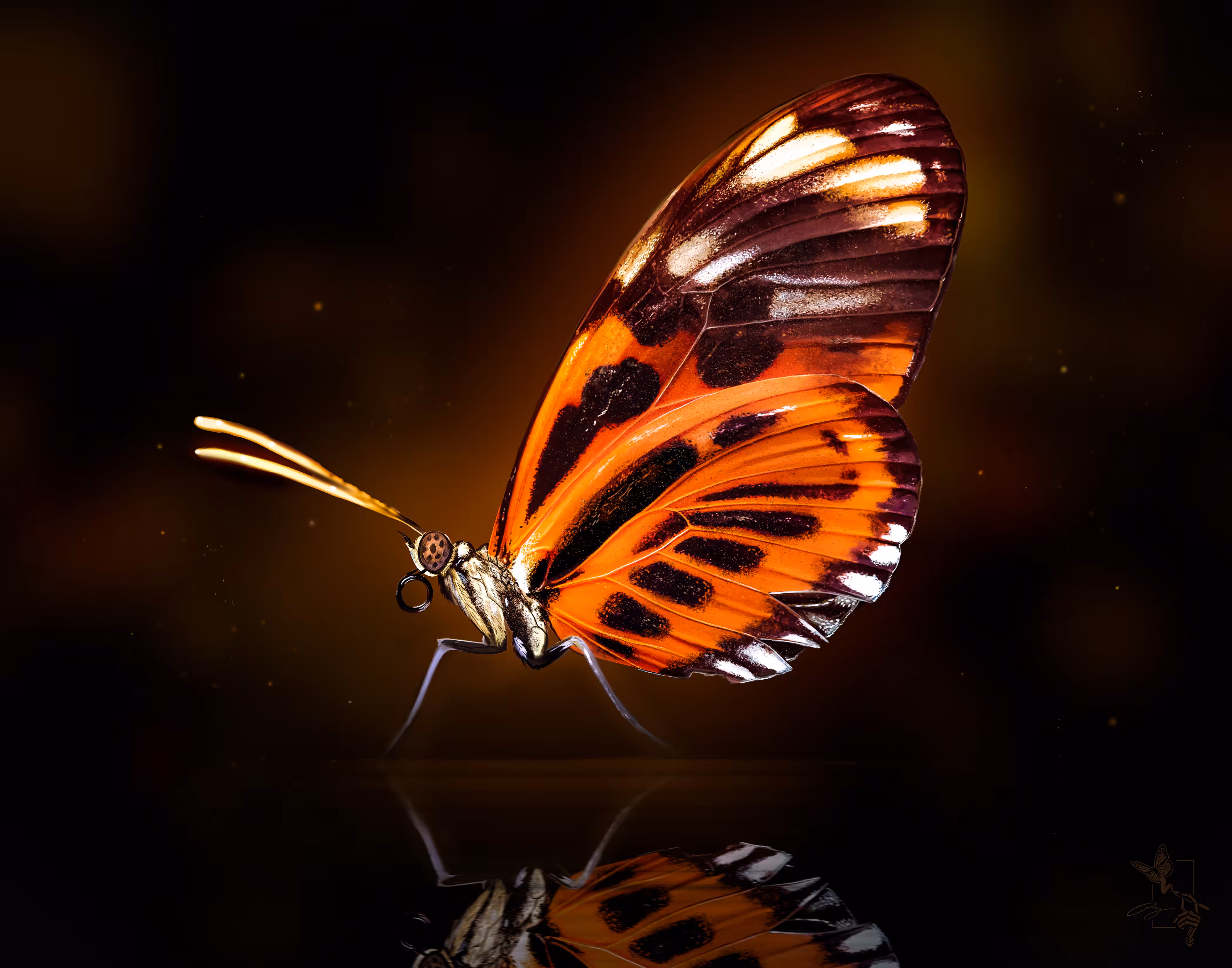 Becoming Again