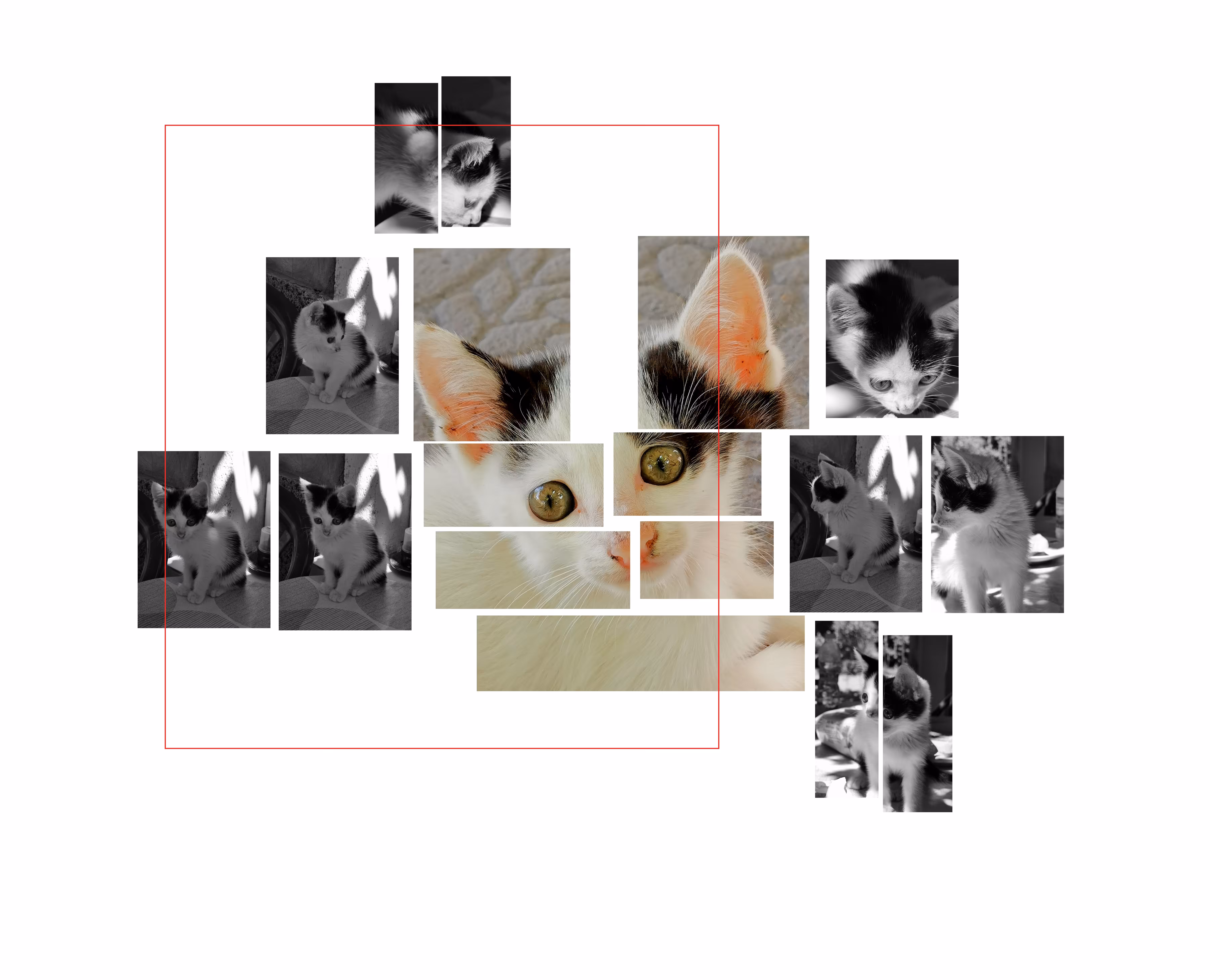 My Digital Art Kitty