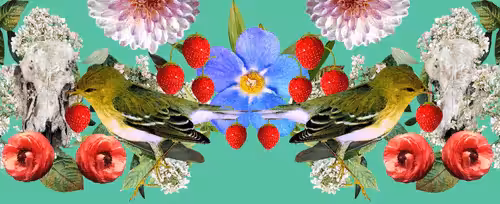 The Strawberry Thieves Banner 7