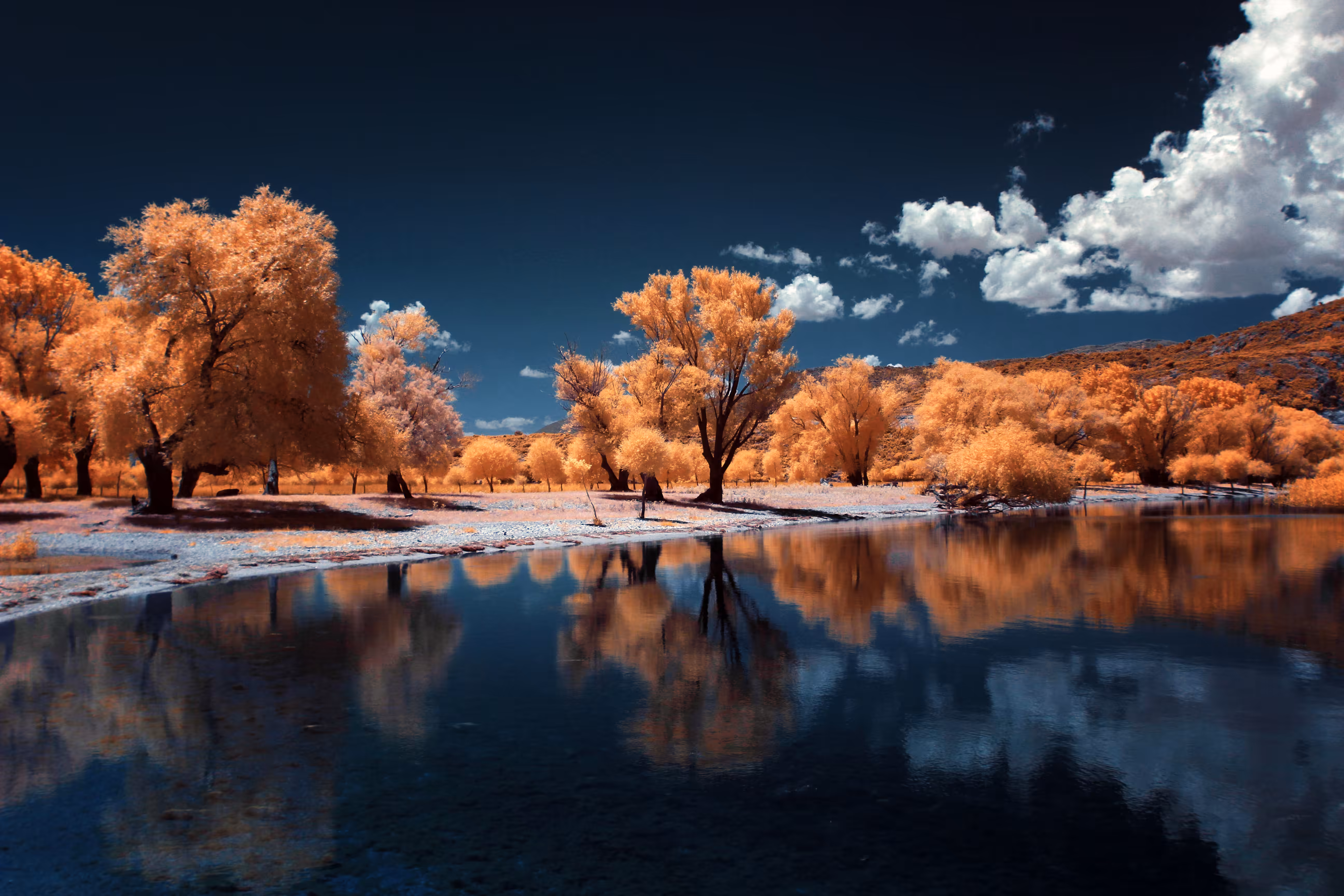 Near the Lake