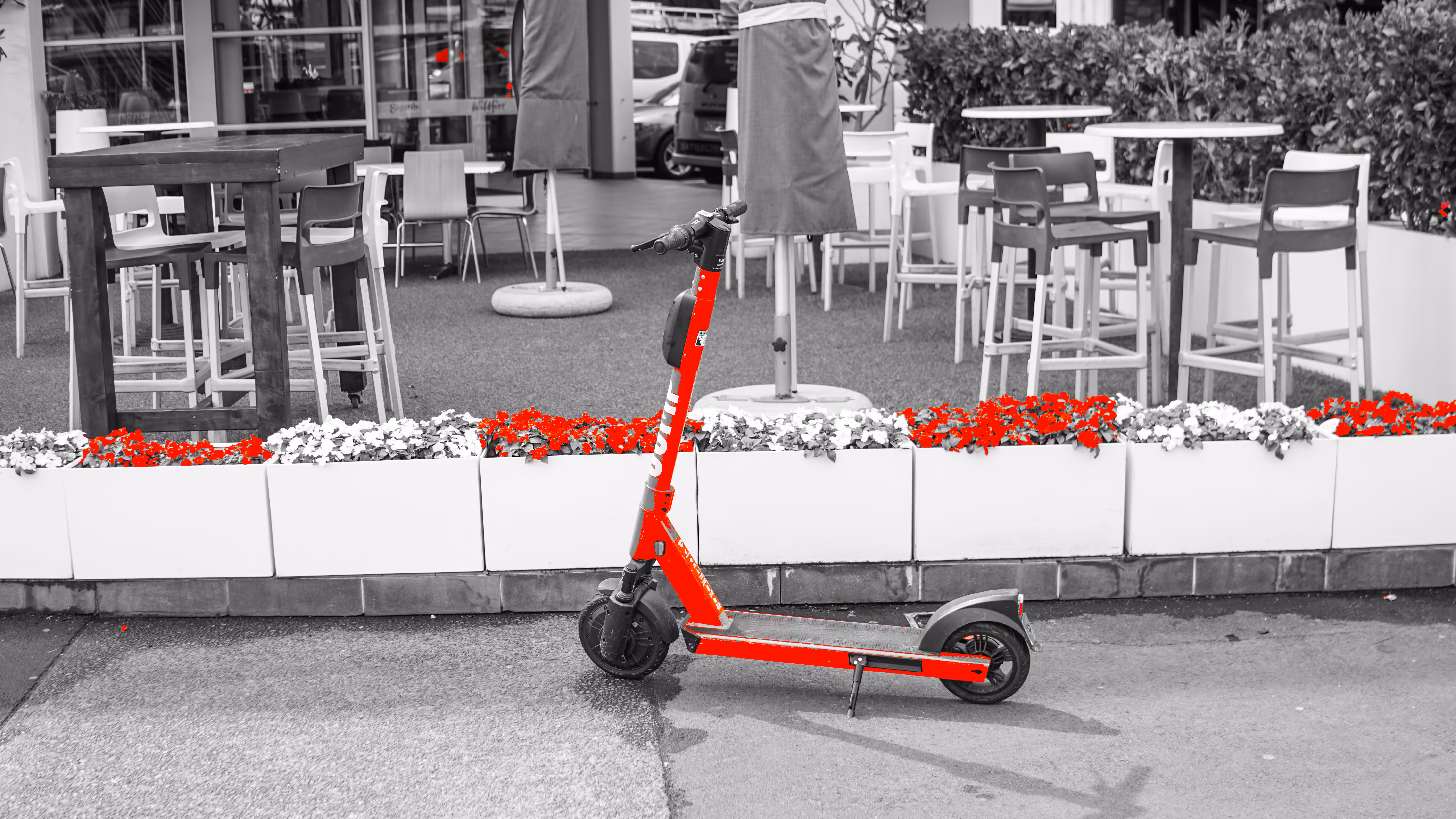 Scooter lover