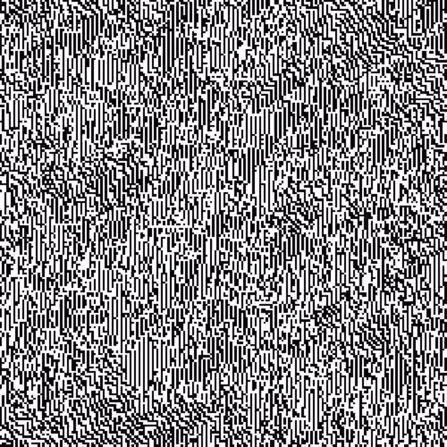 the marathon of the invisibles