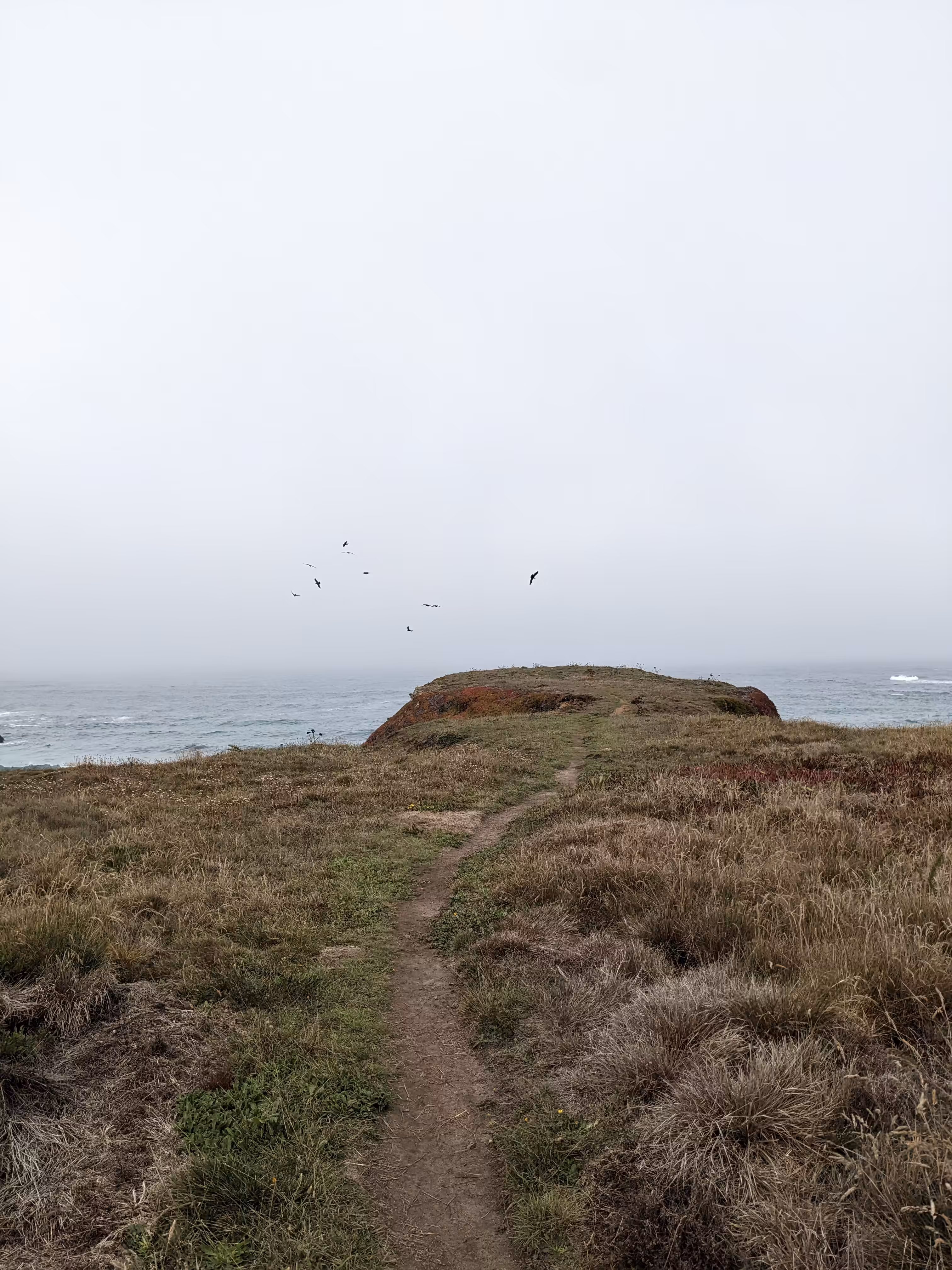 1. THE OCEAN LANDSCAPE