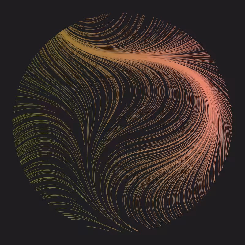 Magnetic Fields #13