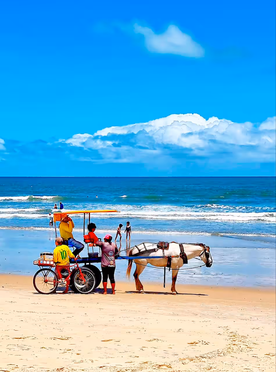 Horse on the beach