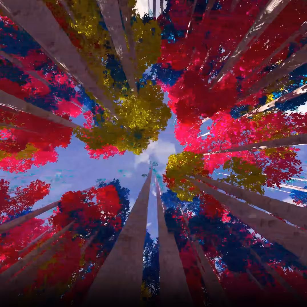 Rainbow Forest