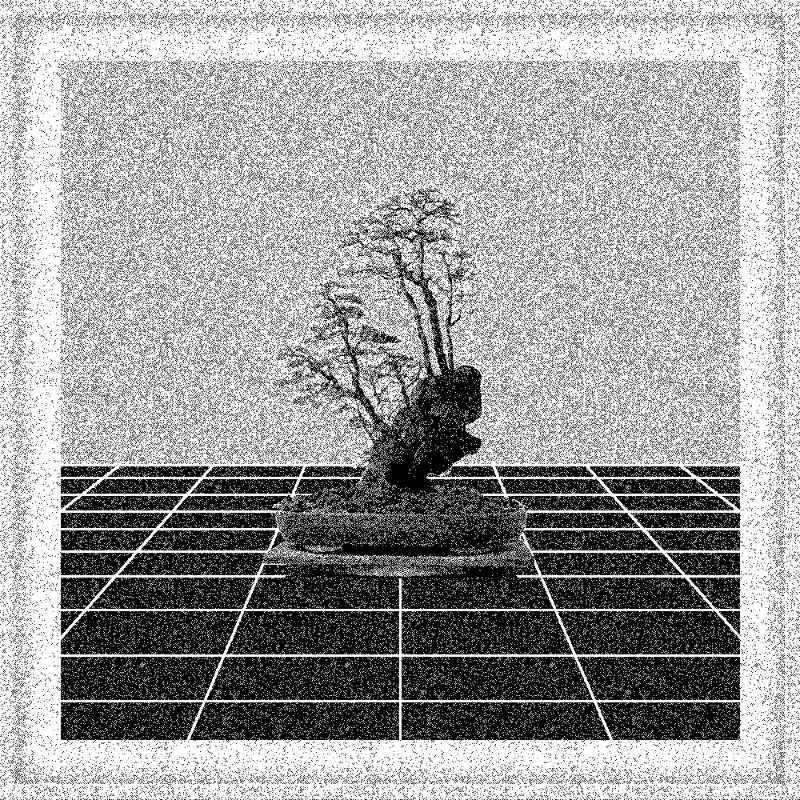 Bonsai Bonanza #107