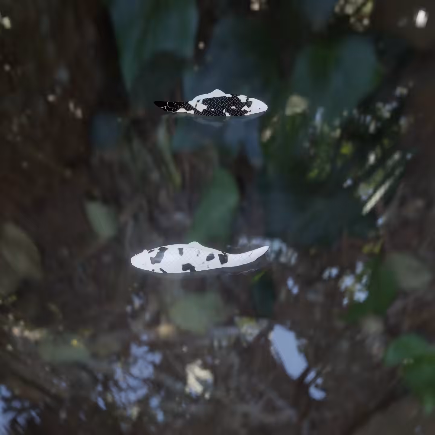 Yin Yang