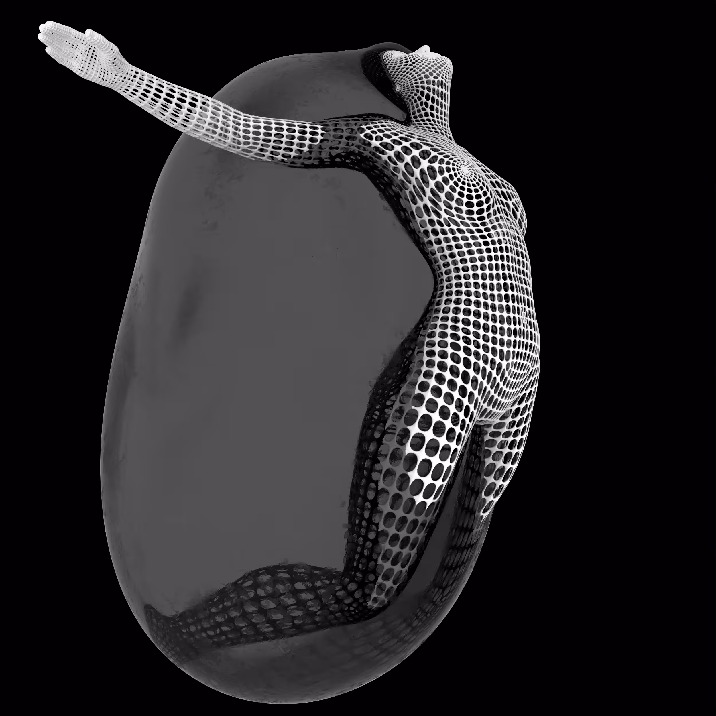 Embryo