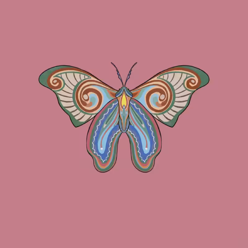 The Moth Experiment 2.0 P2 #18