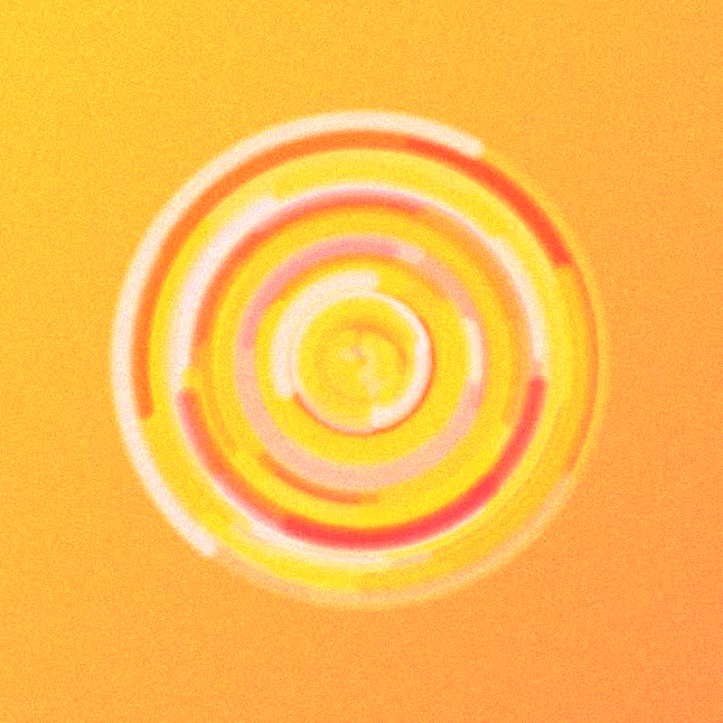 Wisp #740