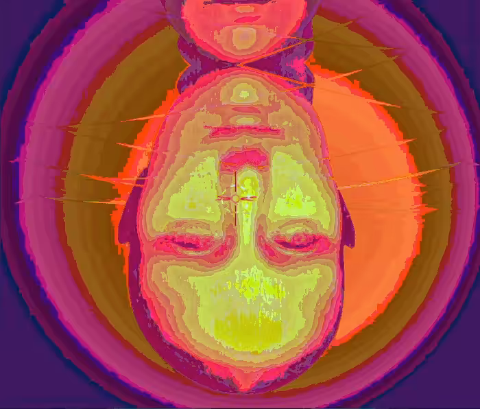 Lisa is crossing the dimensions