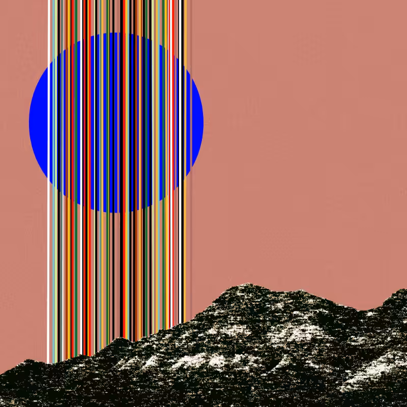 collage #1  from nature #20