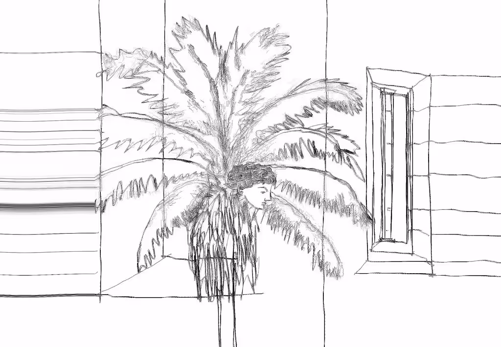 a random legend that has to do with a palm tree (part three)