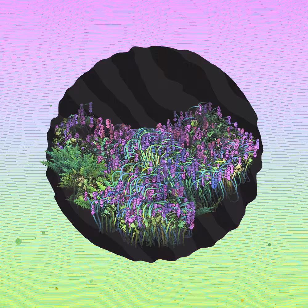 A Gift of Nature #85