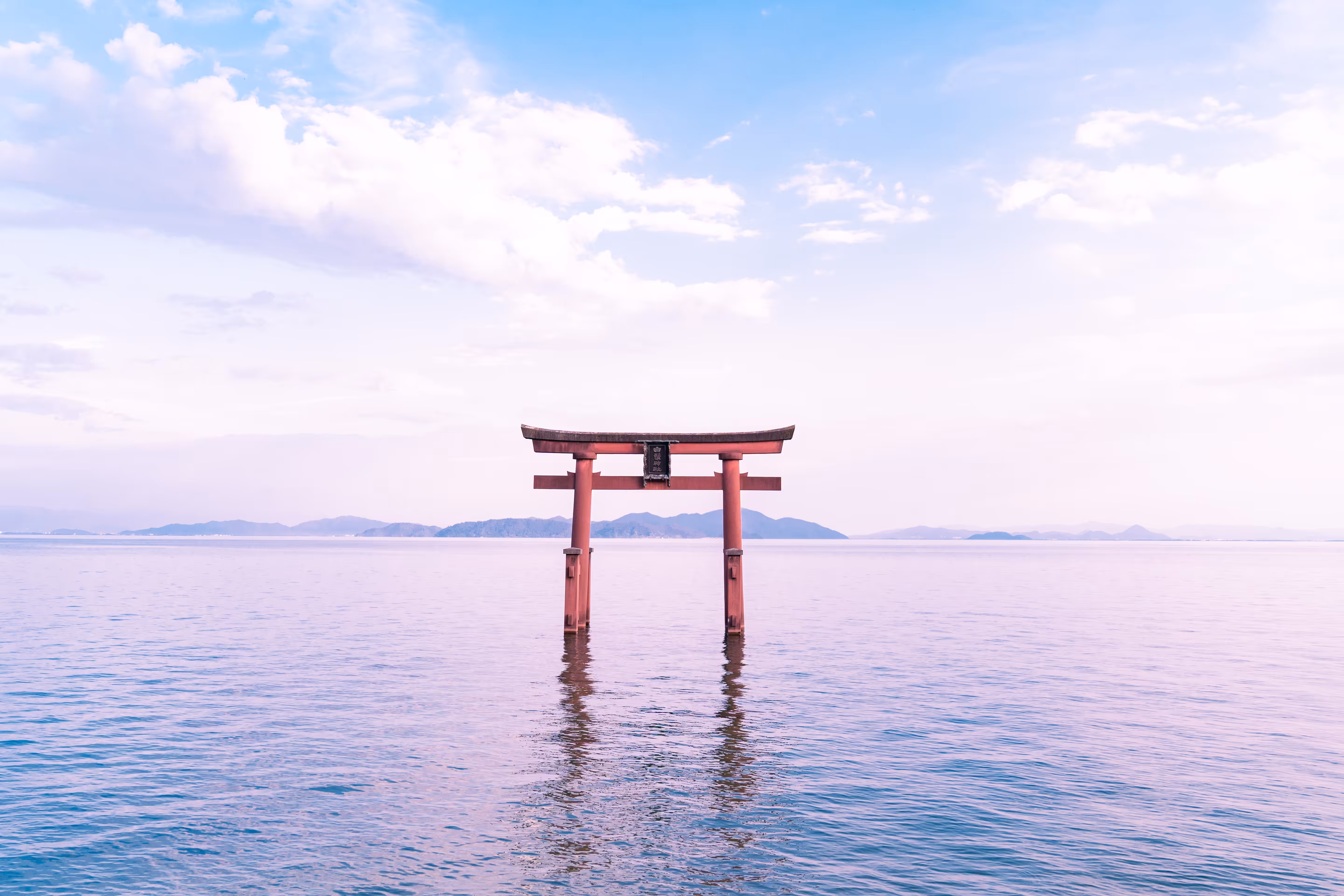 Fantastic Torii