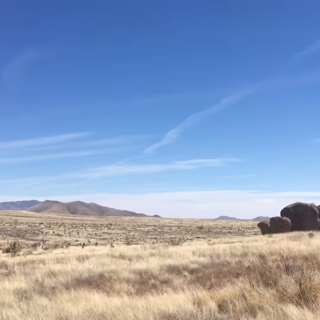 Popcorn Drift