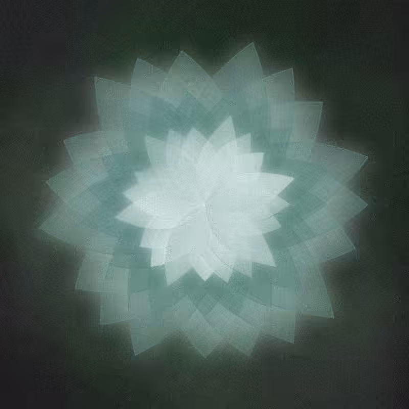 pétalos #14