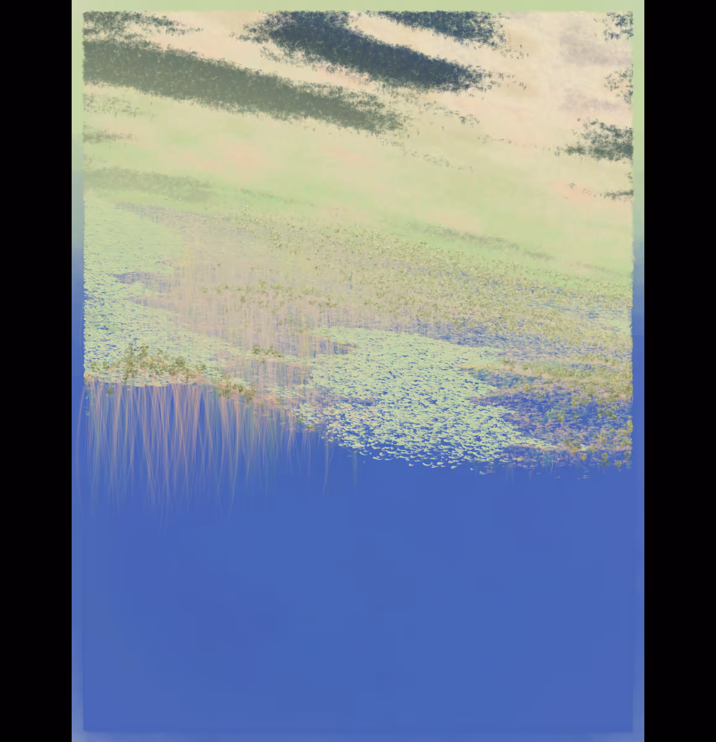 Island Mist #183